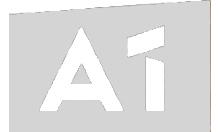 A1
