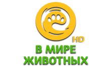 В мире животных HD