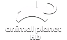 Animal Planet HD