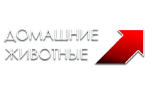 Домашние животные