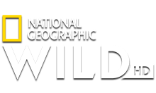 Nat Geo Wild HD