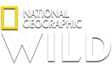 Nat Geo Wild